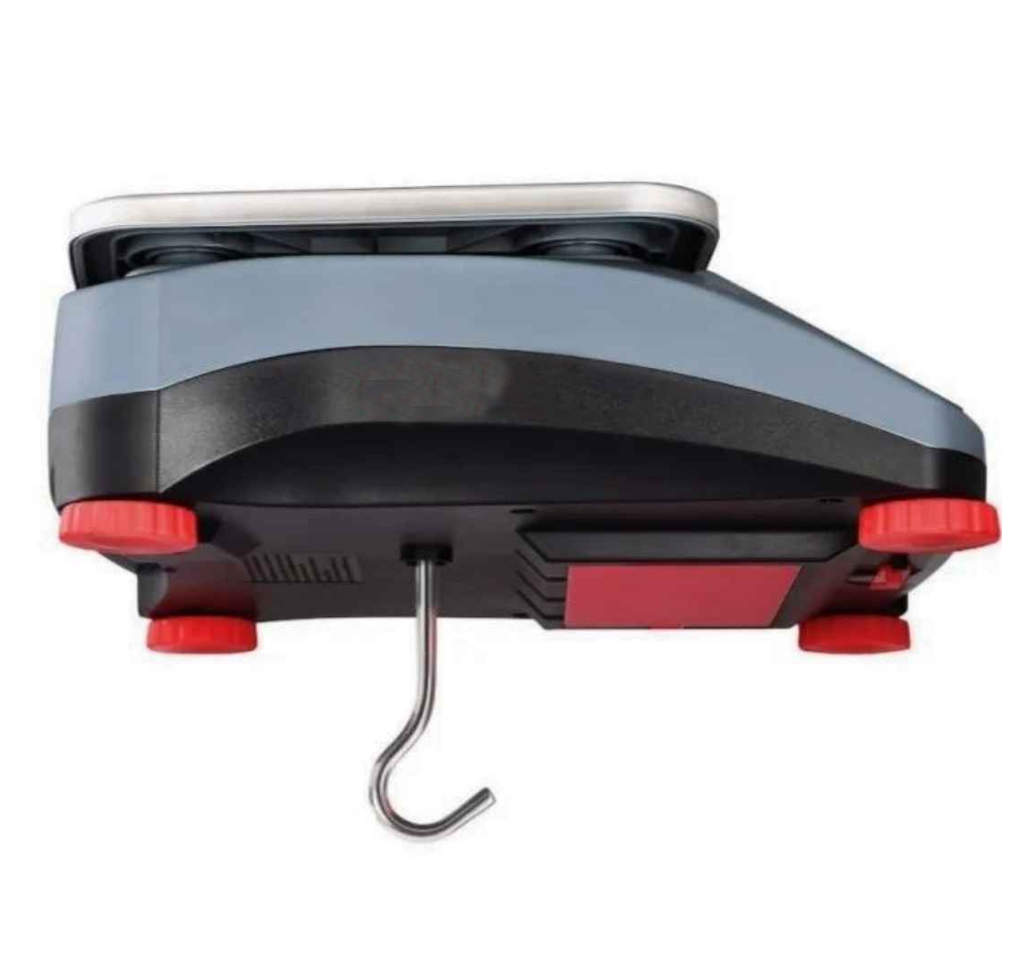 SPECIFIC GRAVITY WEIGHT BALANCES